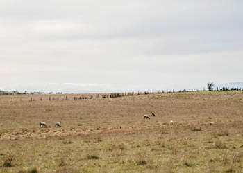 Image courtesy Brand Tasmania